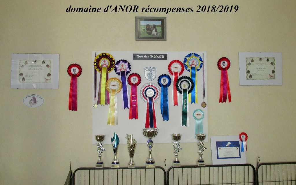 Nos récompenses